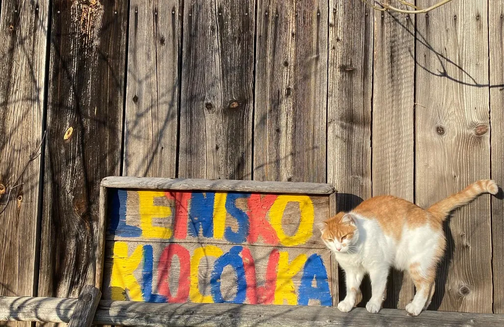 noclegi AlohaCamp Letnisko Klocówka Roztocze 4