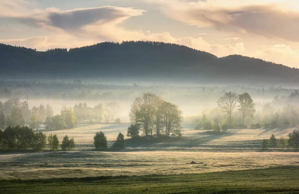 AlohaCamp Wysoka Trawa Gruszków 1