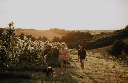 Zdjęcie obiektu Miejsce kamperowe - Winnica 55-100