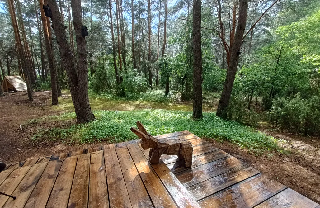 AlohaCamp WDECH WYDECH 1