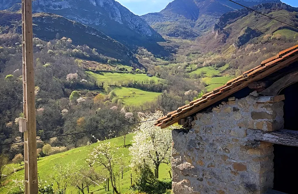 Alojamiento Arriondas El Refugio de Busgosu 3