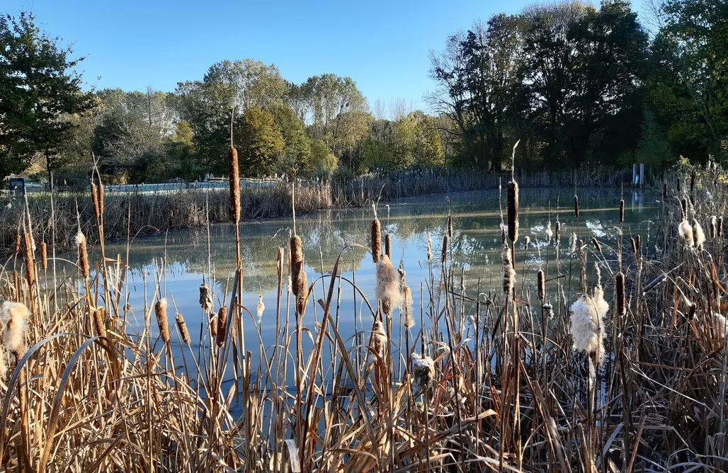 Wakacje First Minute Par les Prés et les Bois de Sologne 1