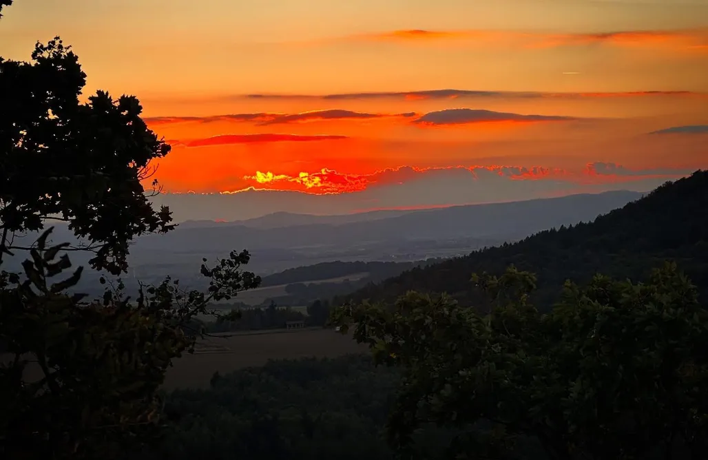 hebergement AlohaCamp Dom Rzeźbiarza w Gaju 4