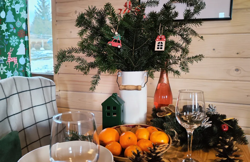 Tanie Noclegi Zakopane Leśna Przystań domki całoroczne 3