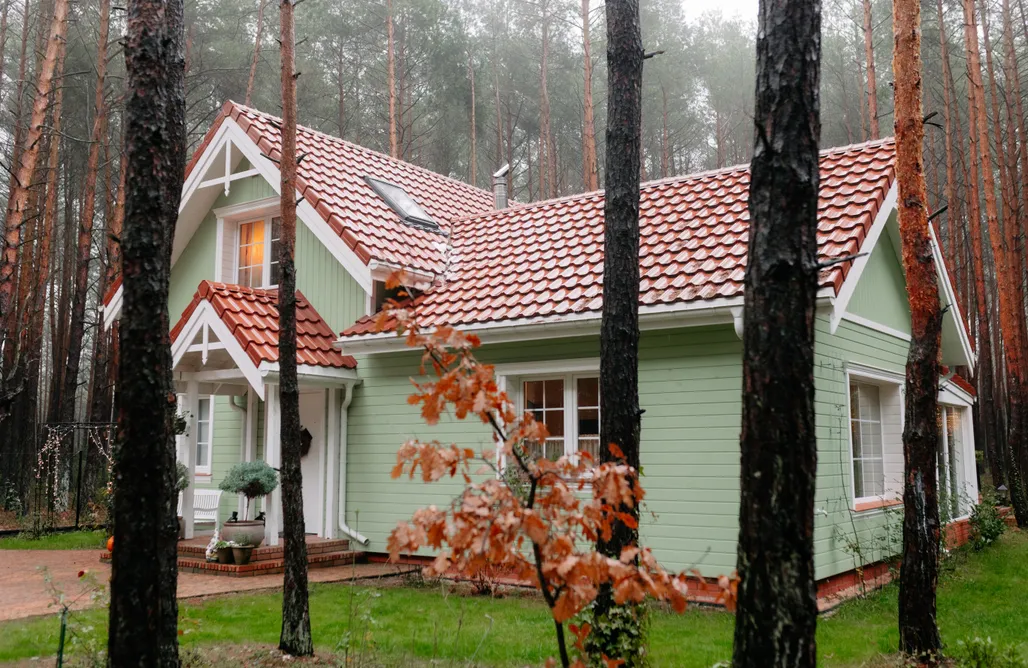 Glamping Podlaskie Domek Leśny Poranek 2