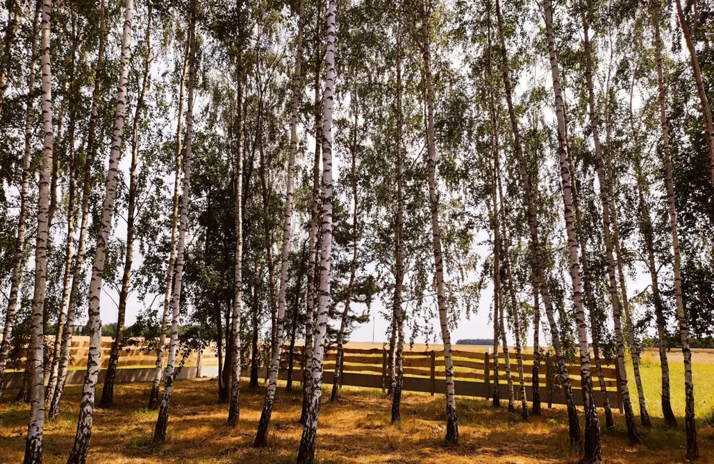 Antolka noclegi Wypoczynek "Pod Brzóstkami" 3