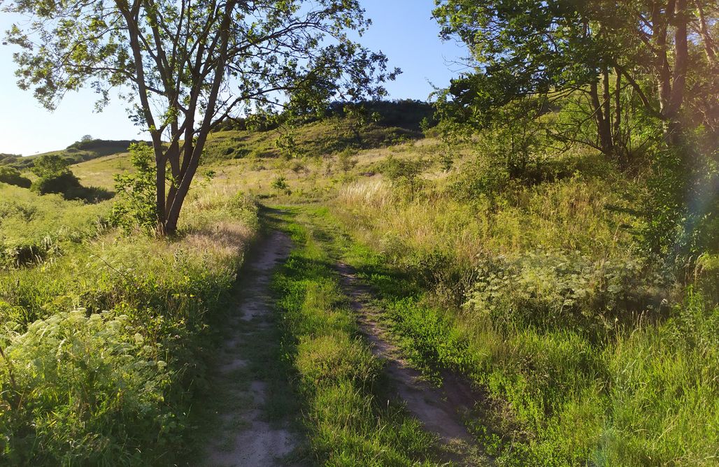 Pole Namiotowe Lubuskie ⛺️ Miejsce Kamperowe - Winnica Santok koło Gorzowa 1