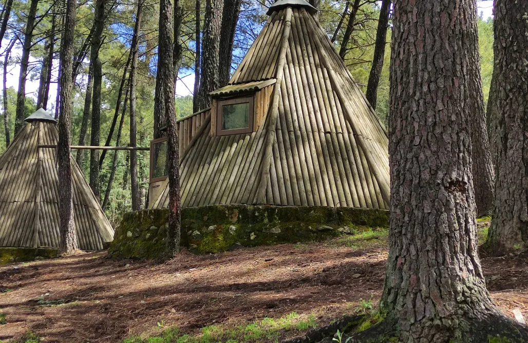 Pet-Friendly Accommodations Glamping The Teepee 1