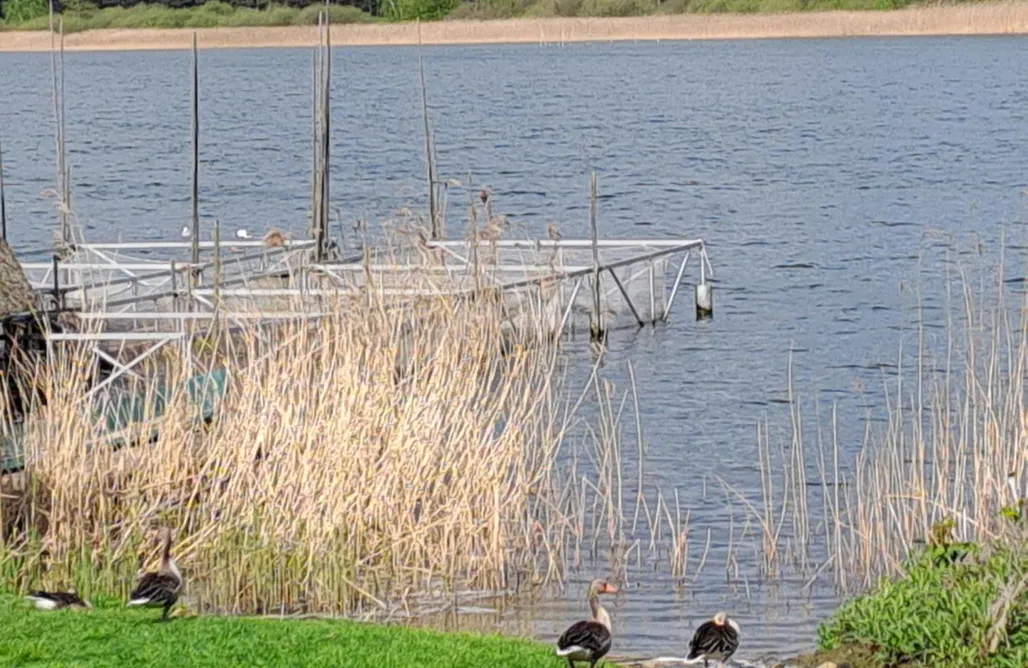 Dümmer See Ferienhaus Haus Hecht  1