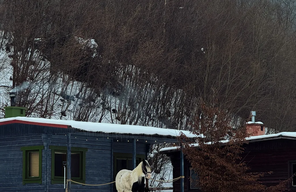 hebergement AlohaCamp Ranczo 44 1