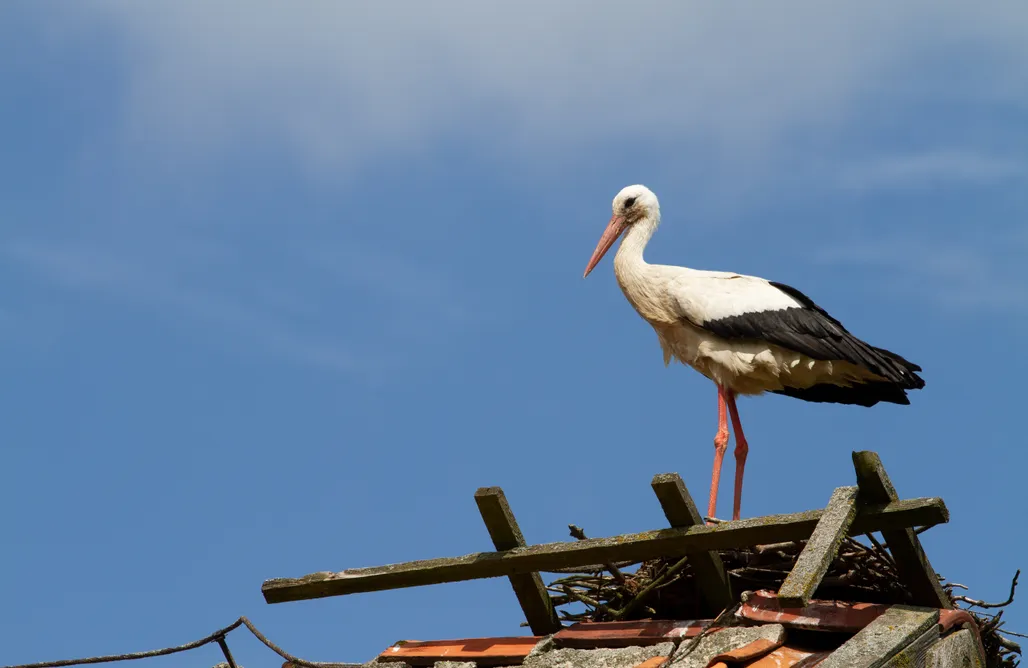 noclegi AlohaCamp NatuRelax Apartment 1
