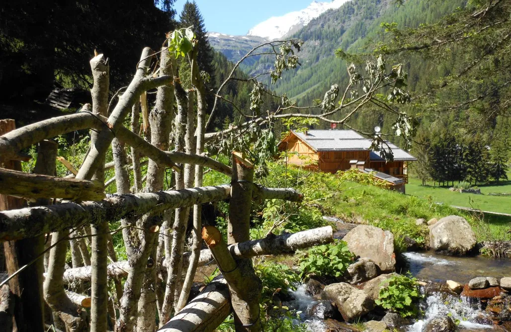 AlohaCamp accommodaties Maso Coler 4