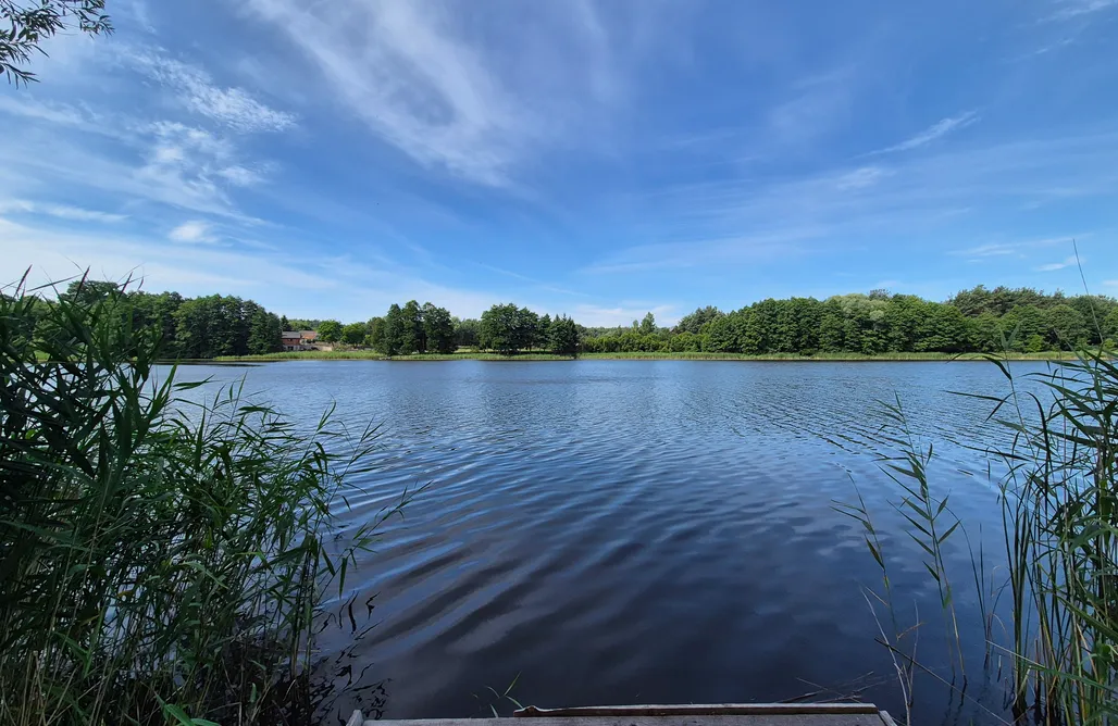 AlohaCamp Pole kempingowe Łasko nad Jeziorem Okrągłe 2