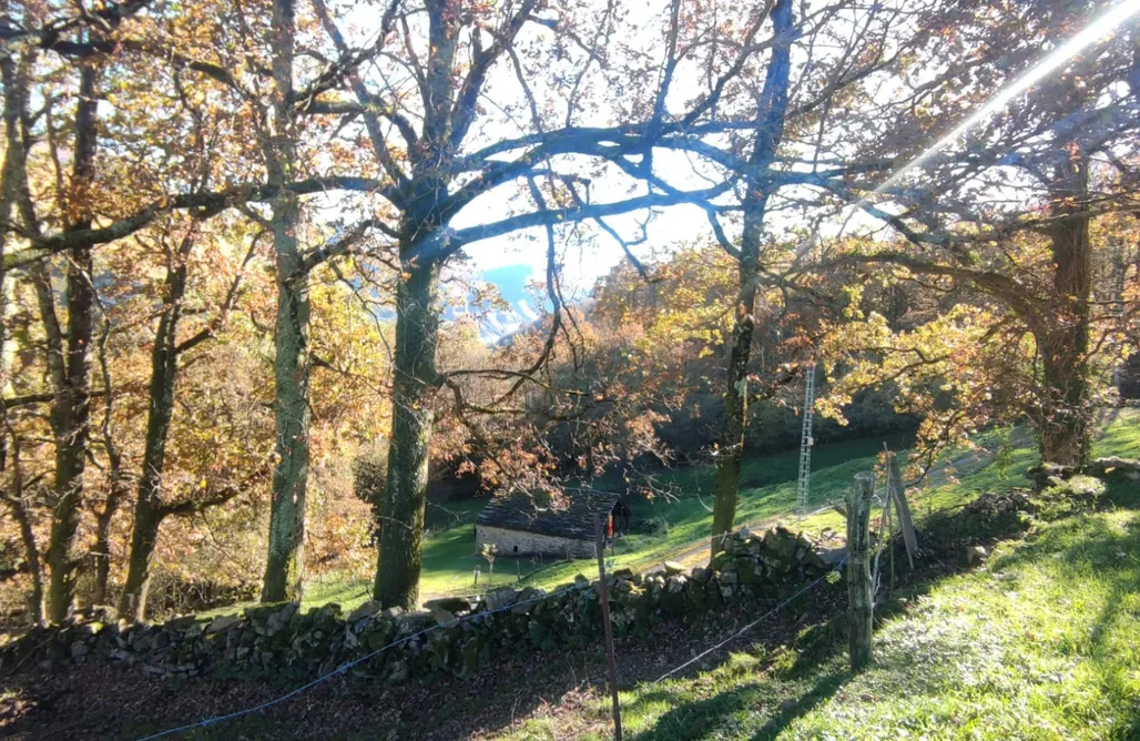 alojamientos AlohaCamp Cabaña Pasiega , La Reina del Paraíso 1