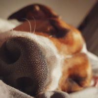 Klaudia  użytkownik