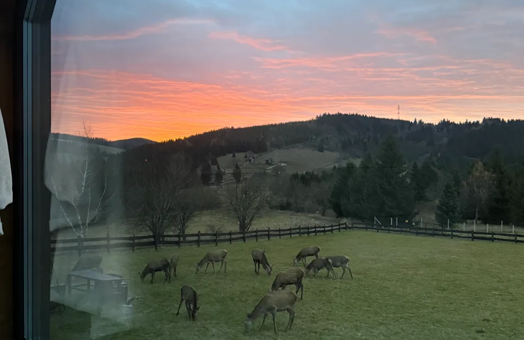Wakacje nad jeziorem Wielkopolska Domki z widokiem na Sowę 1