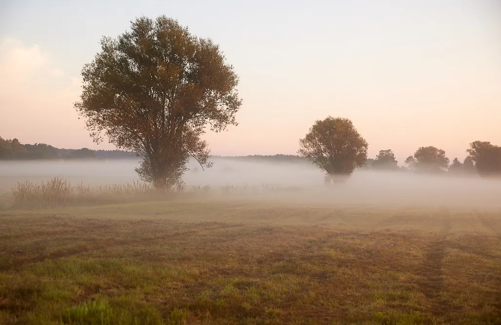 Unterkunft AlohaCamp Sauna, AC, King Bed, Fenced Garden, Fibre Wi-Fi  1