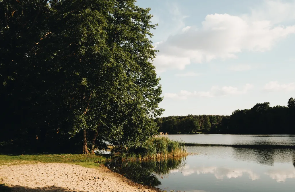 Śląskie Bay Zatoka Radzyń 3
