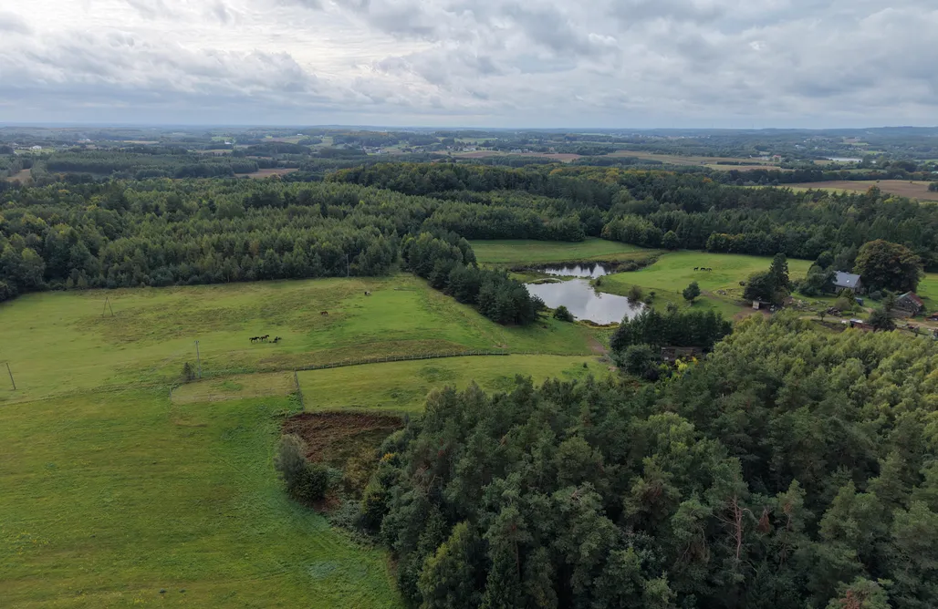 noclegi AlohaCamp Manna Gajowa 5