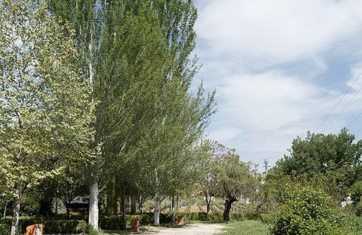 Imagen de Sitio para caravanas y tiendas - Slow Life