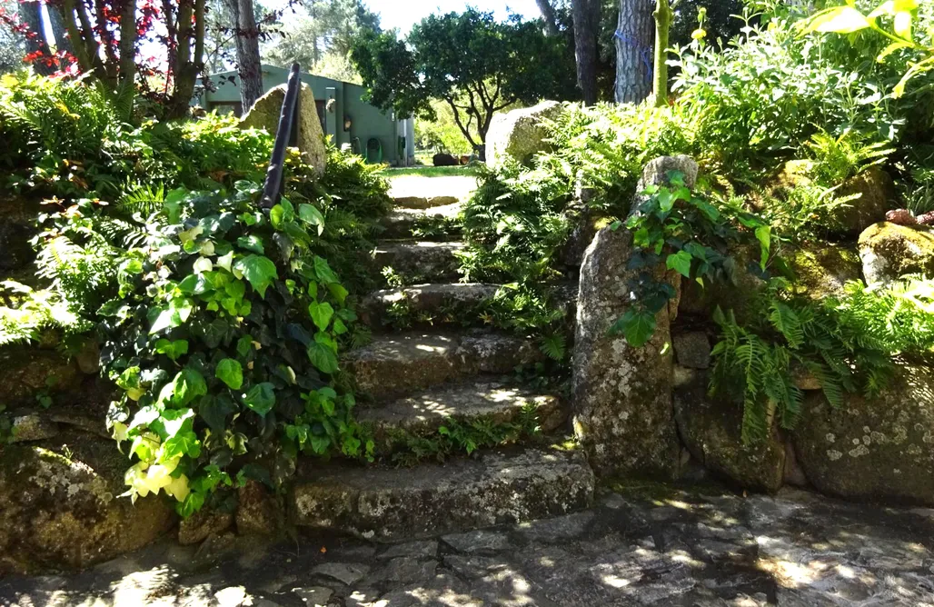 alojamientos AlohaCamp x 4