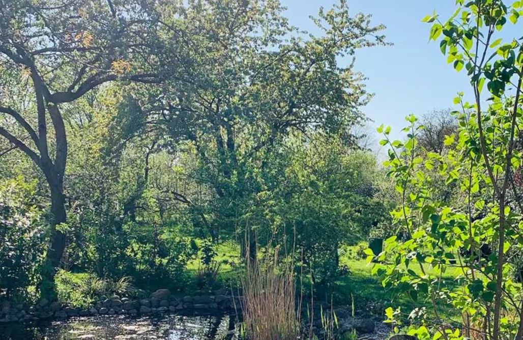 AlohaCamp accommodation Sonnenhügel 1