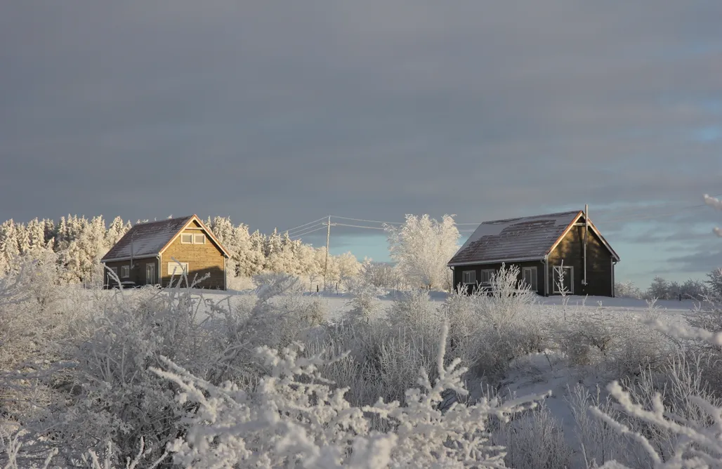 noclegi AlohaCamp Przy Cisowym Jarze 3