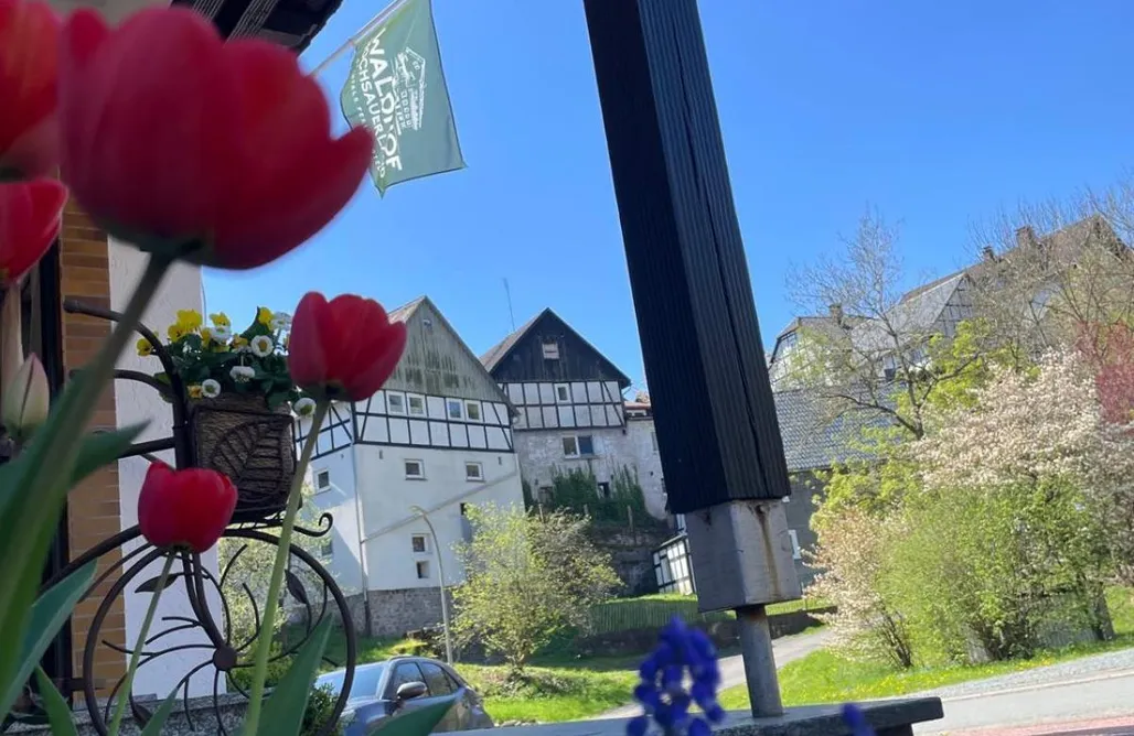 AlohaCamp accommodation Waldhof Hochsauerland 4