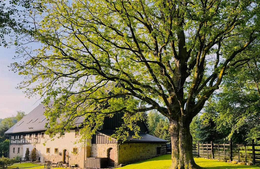 noclegi AlohaCamp Historyczny Domek z Sauną, Pubem i Tarasem nad Rzeką 3