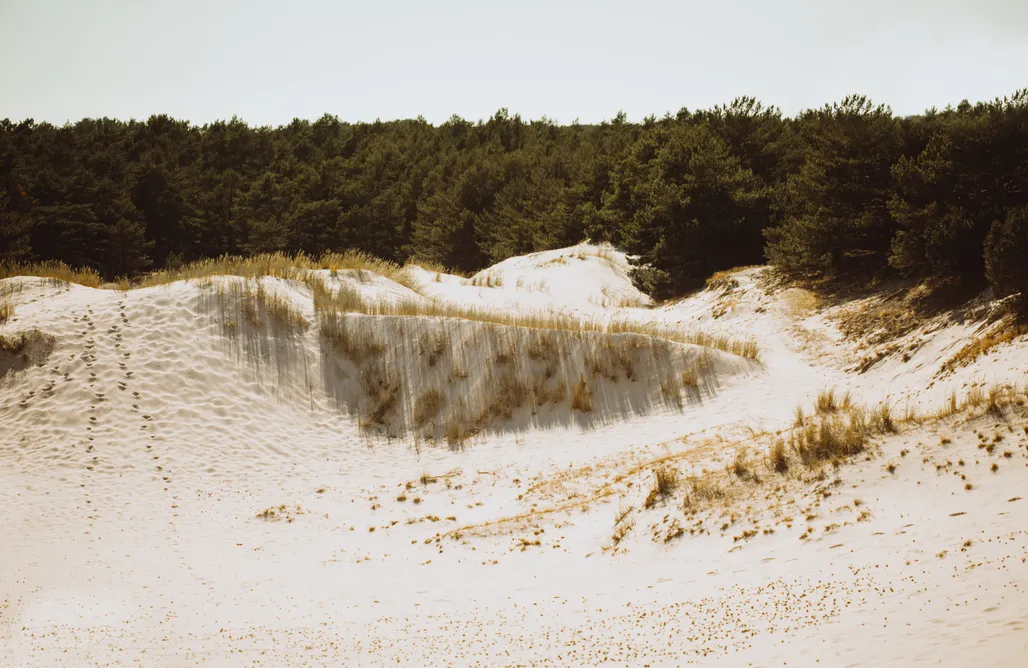 AlohaCamp Boho Sfera 1