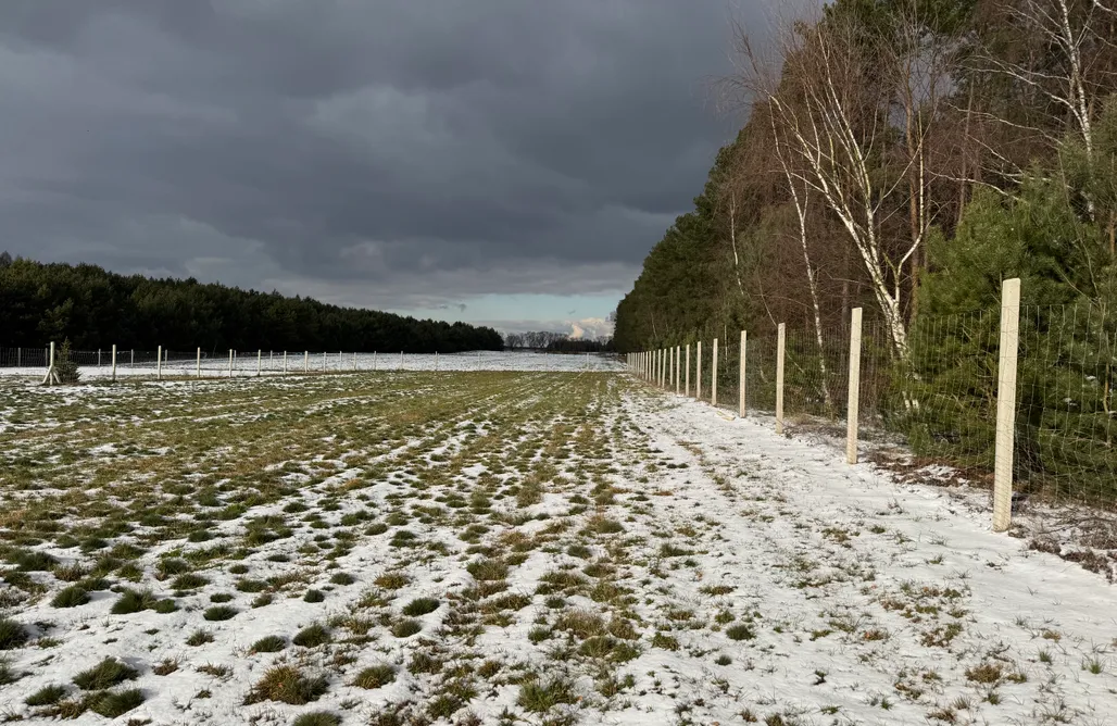 AlohaCamp Miejsce kamperowe i namiotowe - Wojtkowyje 2