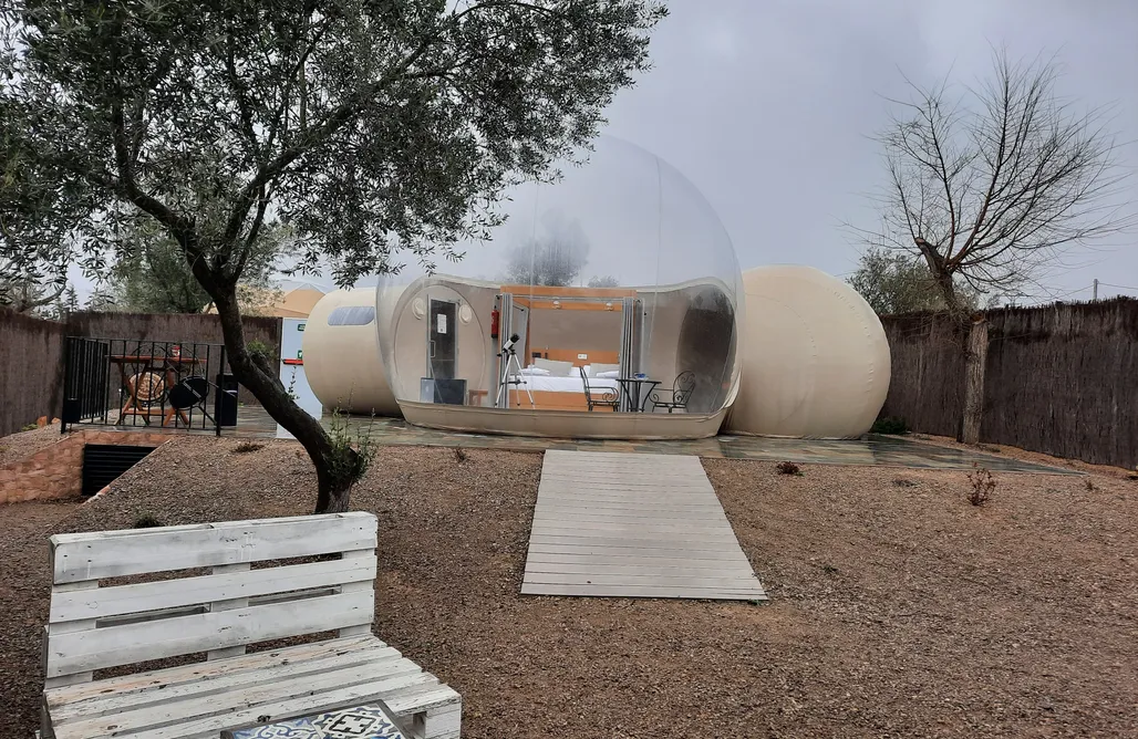 AlohaCamp Yuri Premium King 2