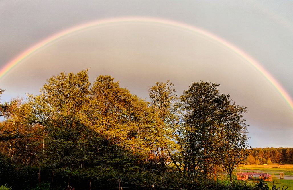 noclegi AlohaCamp Bieżańskie Pole Namiotowe 3