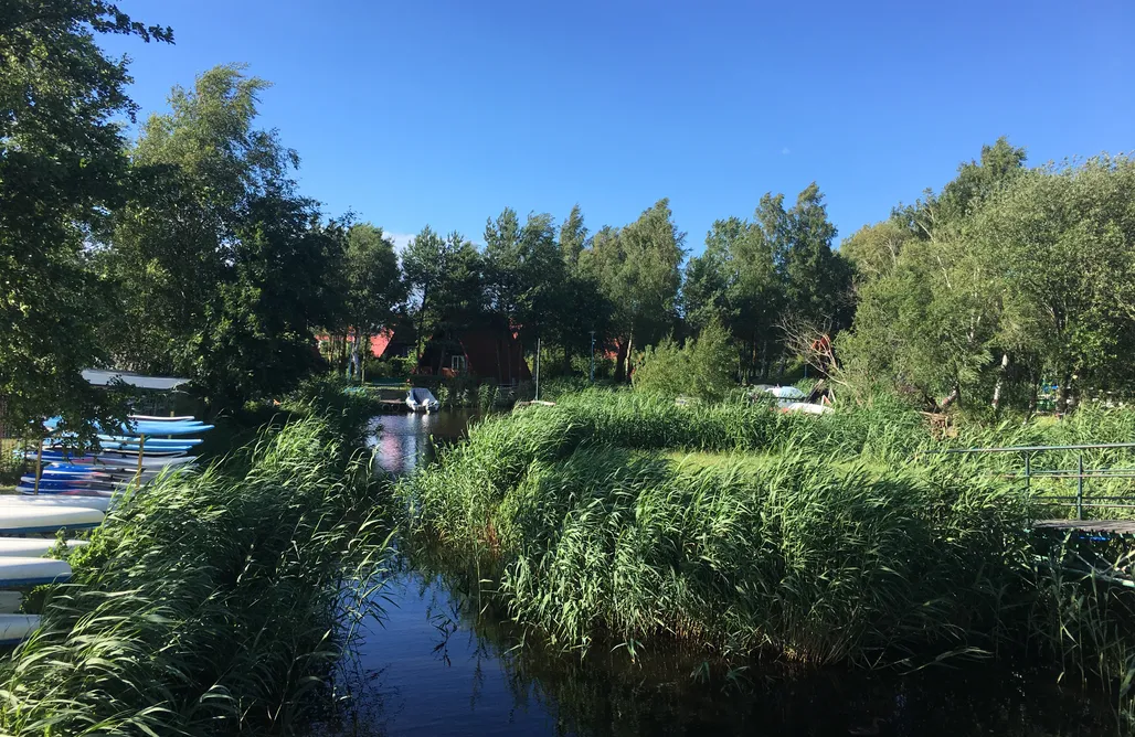 noclegi AlohaCamp Sasanka 5