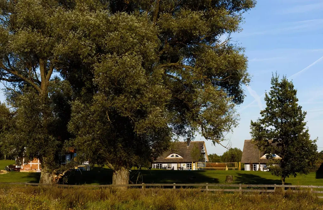 AlohaCamp accommodation Szelągówka Domki 1