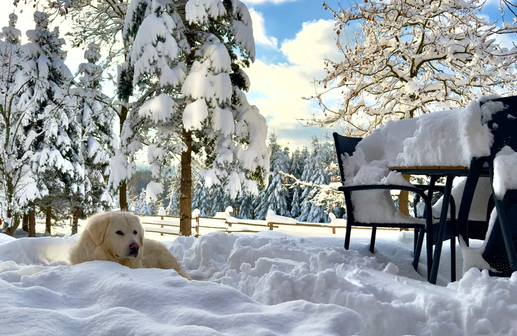 noclegi AlohaCamp Zalesie Łany 1