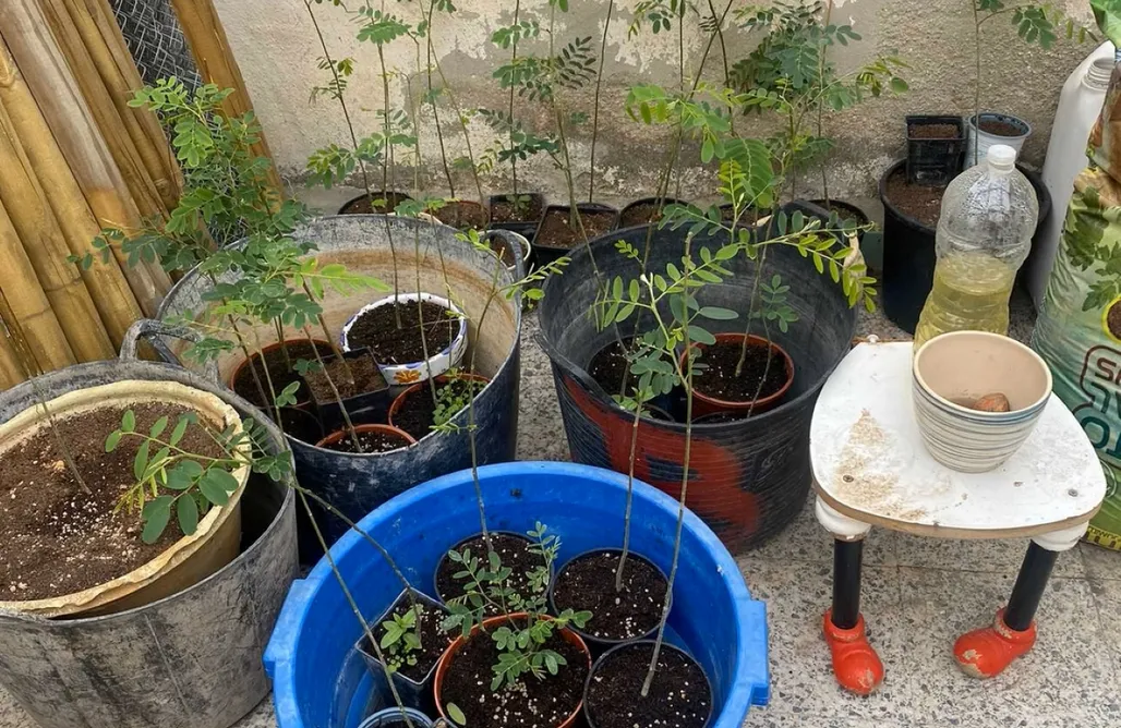 AlohaCamp accommodation Sitio para campers: Entreviñas 1