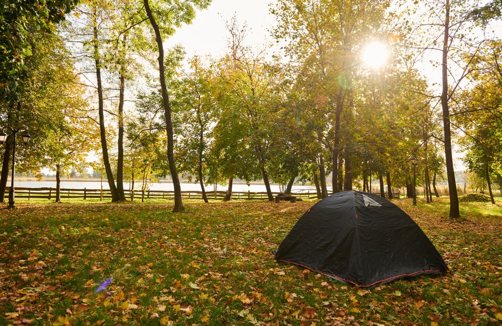 AlohaCamp accommodation Miejsca kamperowe i namiotowe Dwór Mościbrody 2