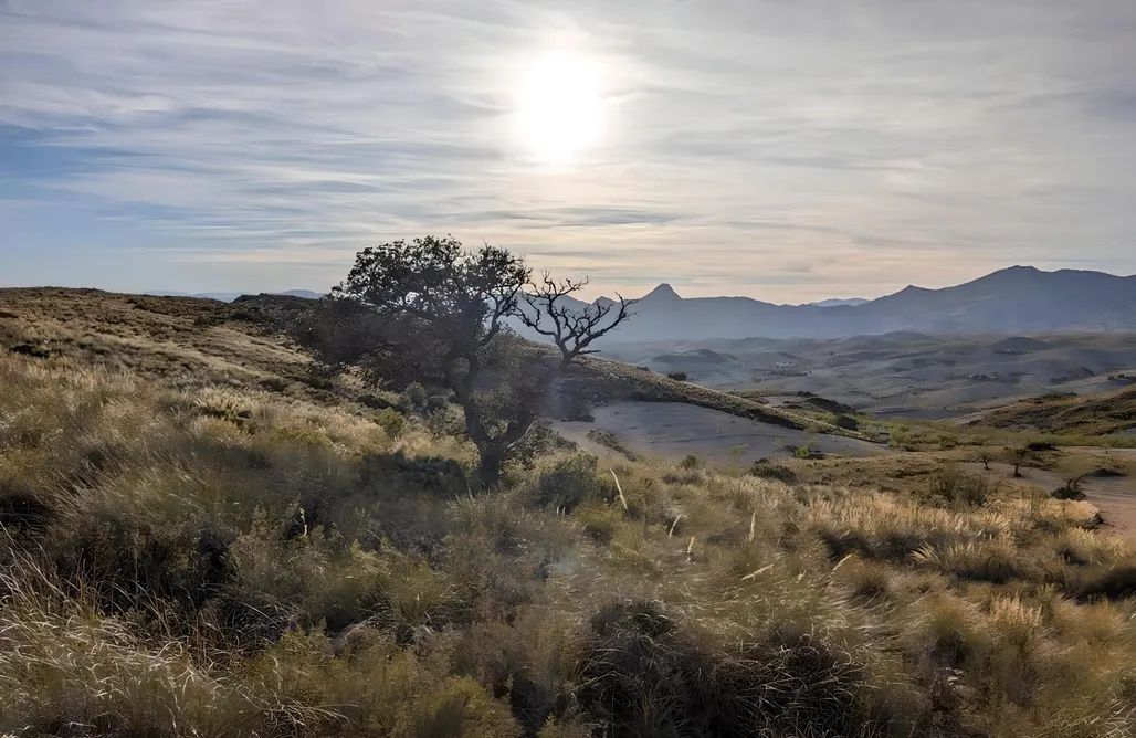 Alloggi AlohaCamp Cortijo Claudia  1