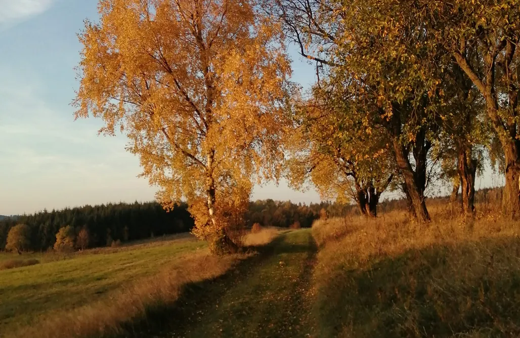 noclegi AlohaCamp Agroturystyka Taszówka 1