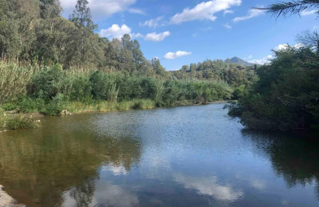 AlohaCamp accommodation Casa Simba: Habitación Azul con terraza 1