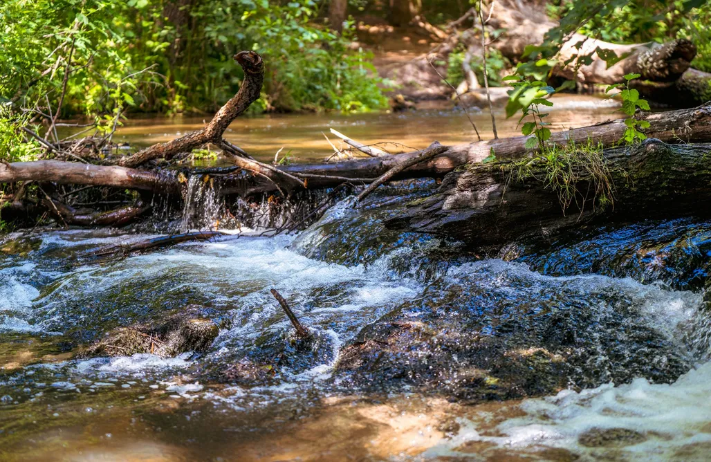 Horyniec-Zdrój Domki Arche Siedlisko Typin 1