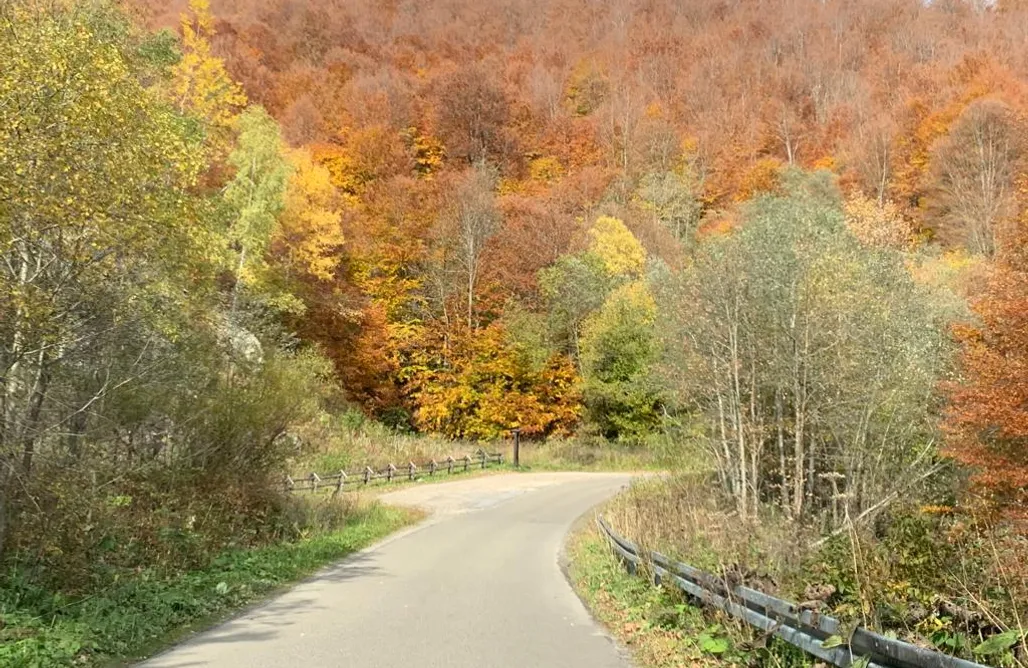 alojamientos AlohaCamp Bukowina Bieszczady 1