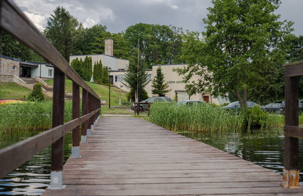AlohaCamp Domek na Leśnym Ustroniu 1