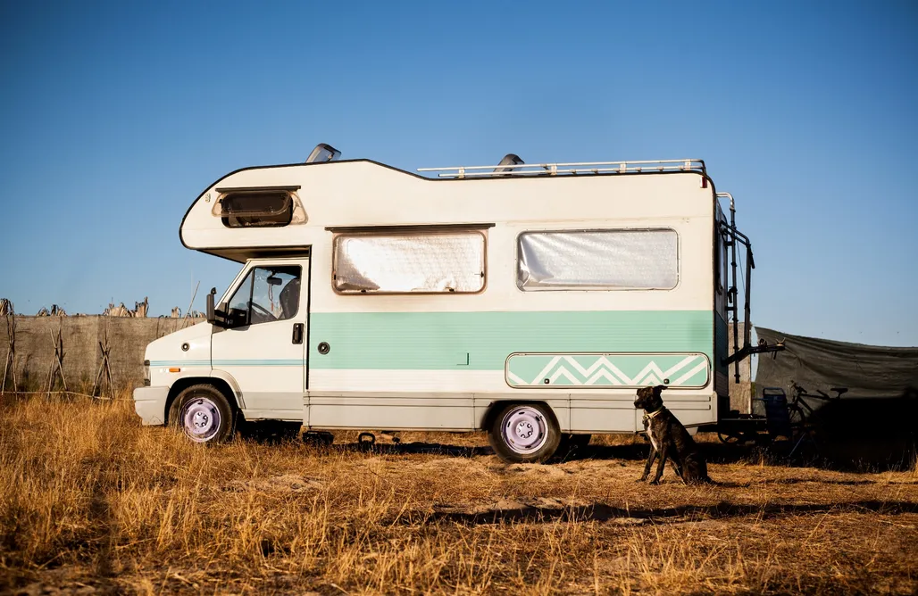 alojamientos AlohaCamp Sitio para autocaravanas y tiendas - Global Tribe Biodynamic Ecovillage 2