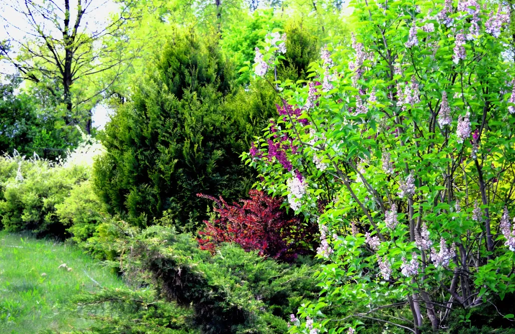 noclegi AlohaCamp Gospodarstwo Agroturystyczne "Między Zamkami" 1