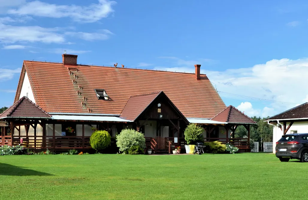 Gdzie na Grzyby Siedlisko Słoneczny Jar 2