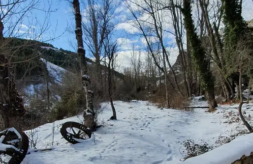 Imagen de Casa Zorro