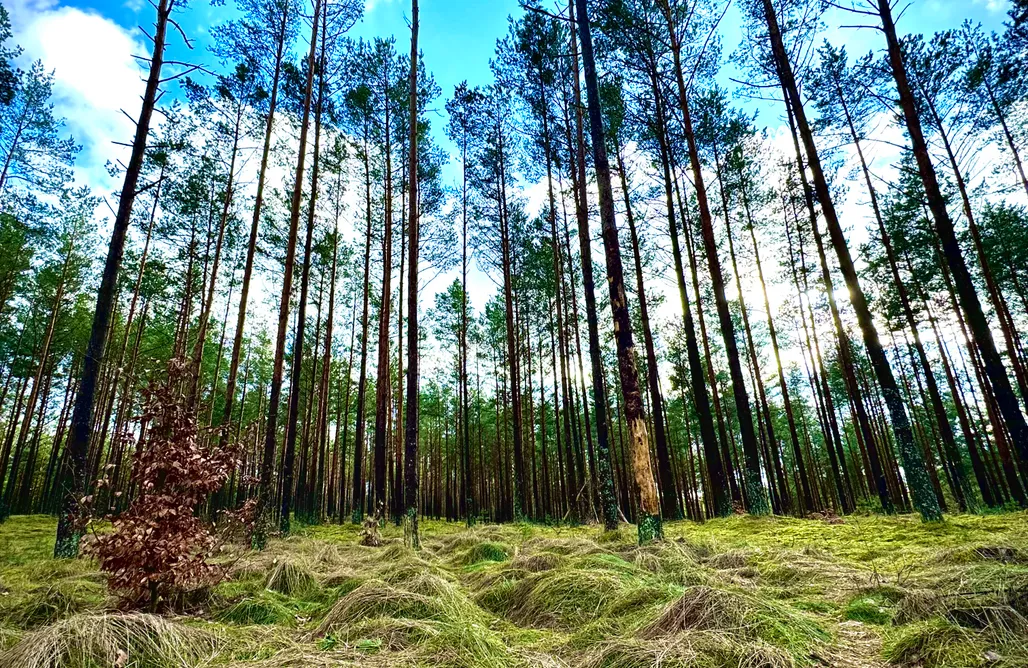 Domek Nad Stawem Schodno13 1