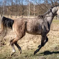 Katarzyna gospodarz Ekoturystyka Nowina